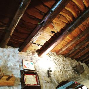 Olivo www.casaconjacuzzi (1)