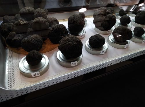 Trufa negra