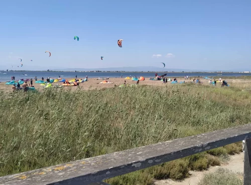 katesurf-delta-del-Ebro-scaled-1 katesurf-delta-del-Ebro-scaled-1